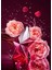 Angel Nova Edp 50 ml Kadın Parfüm 2