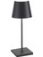 Poldina Pro Koyu Gri Mini Şarjlı Masa Lambası 1