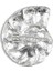 Cyrstal Swirl Hair Clip Kristal Taşlı Gümüş Kaplama Kadın Saç Aksesuarı 2