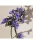 Atelier Des Fleurs Hysope Edp 150 ml 3