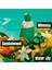 Eden Edp 30 ml Kadın Parfüm 4