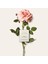 Atelier Des Fleurs Rosa Damascena Edp 150 ml 3