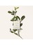 Atelier Des Fleurs Neroli Edp 150 ml 3