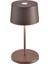 Olivia Pro Kahverengi Şarjlı Masa Lambası 1