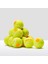 WRT137200 Starter Çocuk Jr 12'li Tenis Topu 2