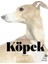 Köpek Kitabı Resim Sanatında Köpekler 1