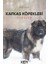 Kafkas Köpekleri 1