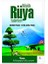 Büyük Rüya Tabirleri 1