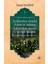 Âvalimden Murad Âdem’in Zuhûru Âdem’den Murad O Demin Husûlu 3 1