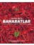 Baharatlar 1