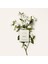 Atelier Des Fleurs Jasminium Sambac 150 ml 3