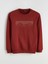 Yeni Sezon Bisiklet Yaka Baskılı Erkek Kalın Sweatshirt 5