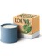 Cypress Balls Large 2120 gr Mum 2