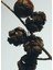 Cypress Balls Large 2120 gr Mum 3