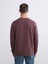 Yeni Sezon Bisiklet Yaka Baskılı Erkek Kalın Sweatshirt 4