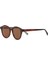Charles Hm 1743 C2 Havana Asetat Unisex Güneş Gözlüğü 1