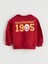 Yeni Sezon Bisiklet Yaka Galatasaray Baskılı Erkek Bebek Sweatshirt ve Eşofman Alt 2'li Takım 5