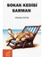 Sokak Kedisi Sarman 1