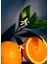 Orange Blossom Home Fragrance 150 ml 3