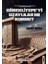 Göbeklitepe’yi Uzaylılar Mı Kurdu? 1
