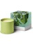 Cucumber Large 2120 gr Mum 2