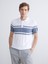 Yeni Sezon Polo Yaka Kısa Kollu Çizgili Erkek Triko Kazak 1