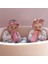 Pembe 2+ Ay Anti-Kolik Bebek Biberonu 260 ml 4