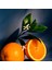 Orange Blossom 170 gr Mum 3