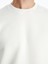 Yeni Sezon Bisiklet Yaka Uzun Kollu Erkek Dokulu Sweatshirt 4