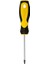 Rıco T10 Torx Uçlu Tornavida 100 mm 1