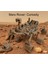 Mars Rover Curiosity Kit Card - Eğitici Oyuncak 1