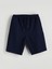 Yeni Sezon Standart Kalıp Erkek Şort 5