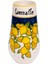 Brava x Feeling Good Inside Limoncello Vazo 1