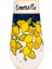 Brava x Feeling Good Inside Limoncello Vazo 2