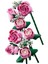 10374 Botanicals Pembe Gül Buketi 4