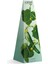 Cucumber 330 gr Mum 5