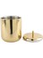 Gold Metal Buz Kovası 2