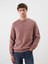 Yeni Sezon Bisiklet Yaka Erkek Sweatshirt 1