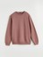 Yeni Sezon Bisiklet Yaka Erkek Sweatshirt 5