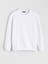Yeni Sezon Bisiklet Yaka Erkek Sweatshirt 1