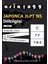Asialogy Japonca Jlpt N5 Dilbilgisi 1