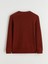 Yeni Sezon Bisiklet Yaka Erkek Sweatshirt 2