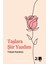 Taşlara Şiir Yazdım 1