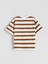 Yeni Sezon Bisiklet Yaka Çizgili Erkek Çocuk Tişört 2'li 4