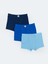 Yeni Sezon Basic Erkek Çocuk Boxer 3'lü 1