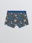 Yeni Sezon Baskılı Erkek Çocuk Boxer 3'lü 5