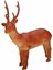 723 Sunman Sesli Çiftlik Hayvanları 24 cm 1
