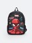 Yeni Sezon Spider-Man Baskılı Erkek Çocuk Okul Çantası 1