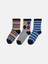 Yeni Sezon Desenli Erkek Çocuk Soket Çorap 3'lü 1