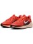 Air Zoom Pegasus 41 'magic EMBER'FN5041-800 2